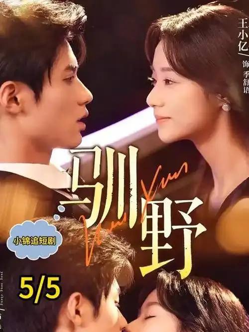 风起南城 年代剧全集在线观看